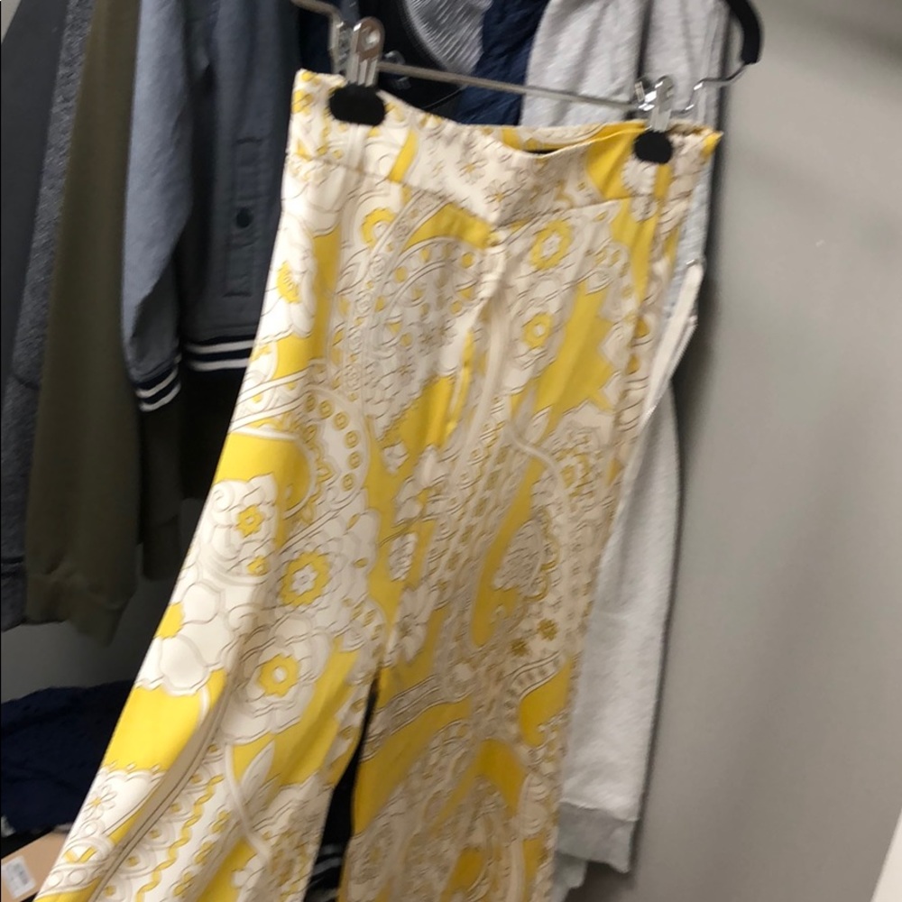 Zara Pants